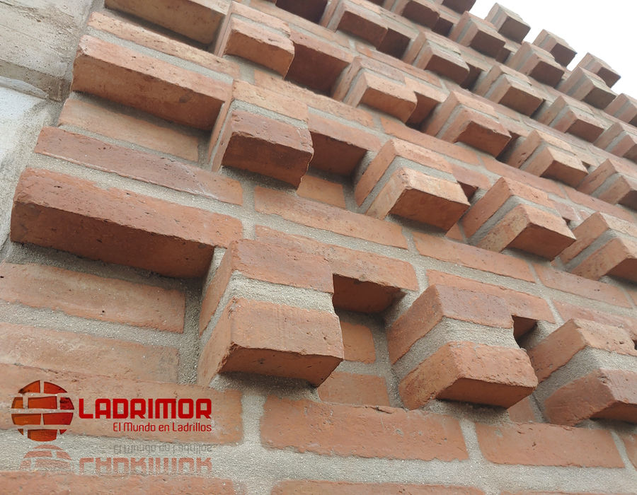 Ladrillo de 20 semivisto de barro cocido